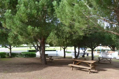Camping Orbitur Sagres - Bild 2