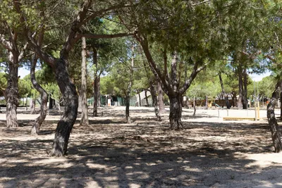 Orla Ilha de Tavira Ecoglamping - Standplätze im Grünen