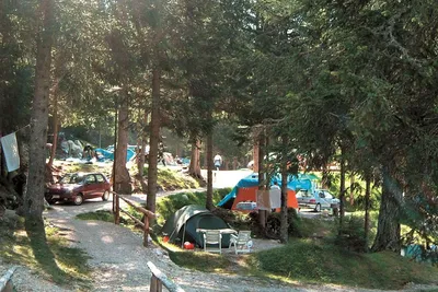 Camping Palafavera  -  Zeltplatz vom Campingplatz im Grünen zwischen hohen Bäumen