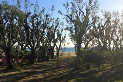 Camping Palouki -  Wohnwagenstellplätze im Grünen auf dem Campingplatz mit Blick auf das Meer