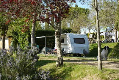Panorama Chianti Camping