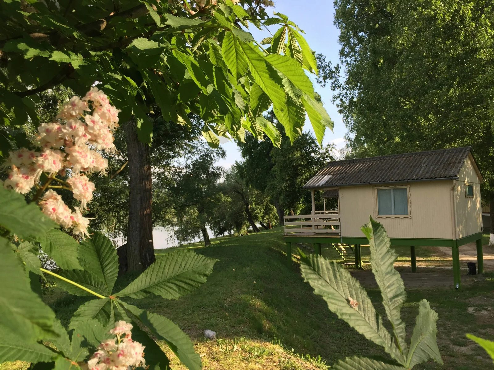 Pap-Sziget Camping