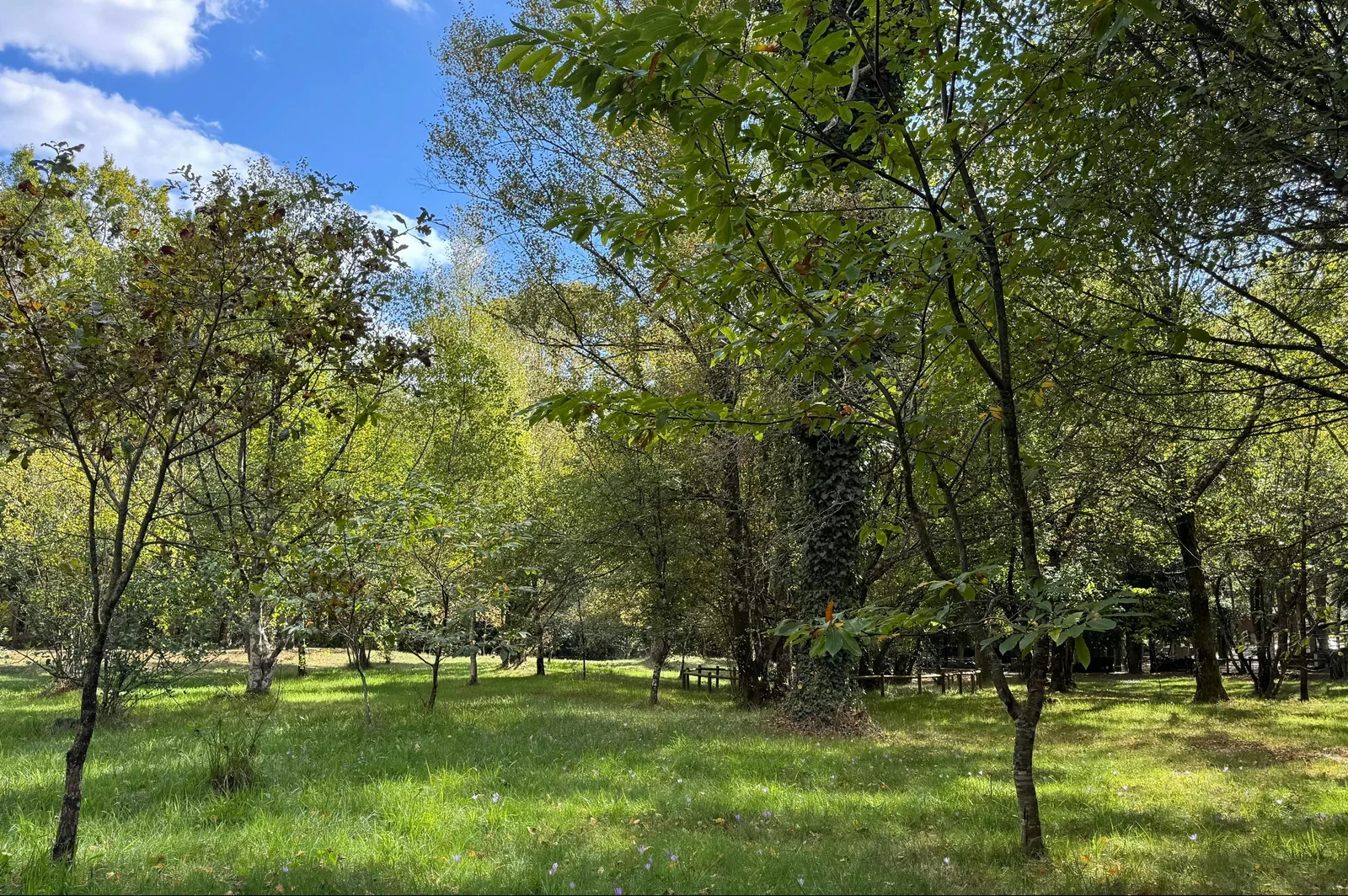Parque de Campismo de Cerdeira
