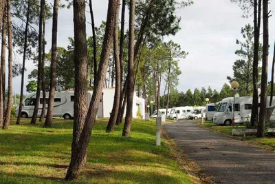 Parque de Campismo De Luso - Wohnwagen- und Zeltstellplatz  zwischen Bäumen