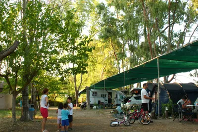 Camping Pefki - Stellplätze mit Überdachung auf dem Campingplatz