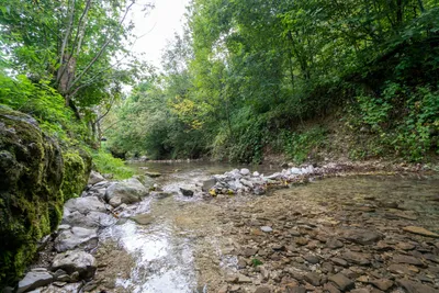 Camping Pfählhof - Fluss