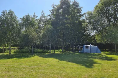 Piccadilly Caravan Park - Zeltwiese auf dem Campingplatz
