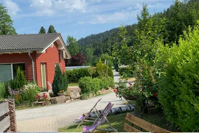 Camping Quellgrund - Grüner Campingplatz mit Unterkunft und Liegestühlen