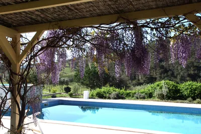 Quinta de Odelouca - Pool auf dem Campingplatz