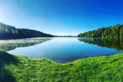 Ragnerudssjöns Camping - See am Wald
