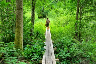Ragnerudssjöns Camping - Wanderweg im Wald