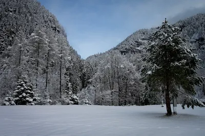 Camping Rania - Wiese auf dem Campingplatz im Winter