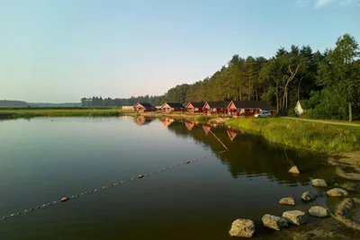 Rcn De Flaasbloem - Bild 2