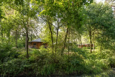Rcn Vakantiepark Het Grote Bos - Bild 3