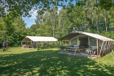 Recreatiepark De Sikkenberg - Mobilheime im Schatten der Bäume
