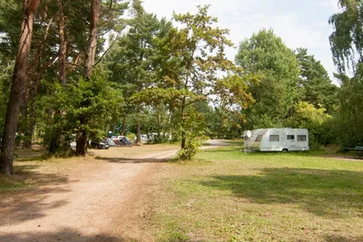 Regenbogen Born  -  Wohnwagen- und Zeltstellplatz vom Campingplatz im Grünen