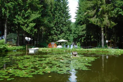 Rennsteig-Caravaning Valentinsteich - Blick über den Valentinsteich auf den Campingplatz unter Bäumen 