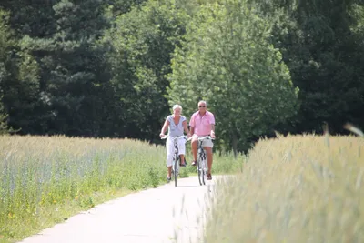 Resort De Arendshorst - Fahrradwege durch Felder in der Nähe vom Campingplatz