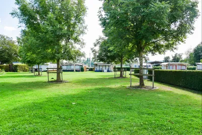 Rhein-Camping - Zeltwiese