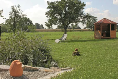 Camping Riedlhof - Blick auf die Wiese des Campingplatzes