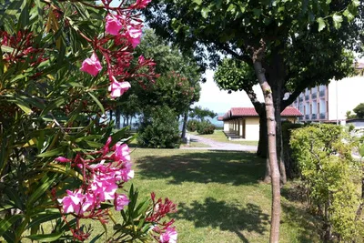 Camping Romantica  - Blick auf die Mobilheime vom Campingplatz