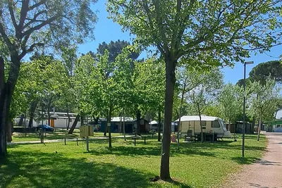 Romea Family Camping  Camping Romea - Standplätze im Grünen auf dem Campingplatz