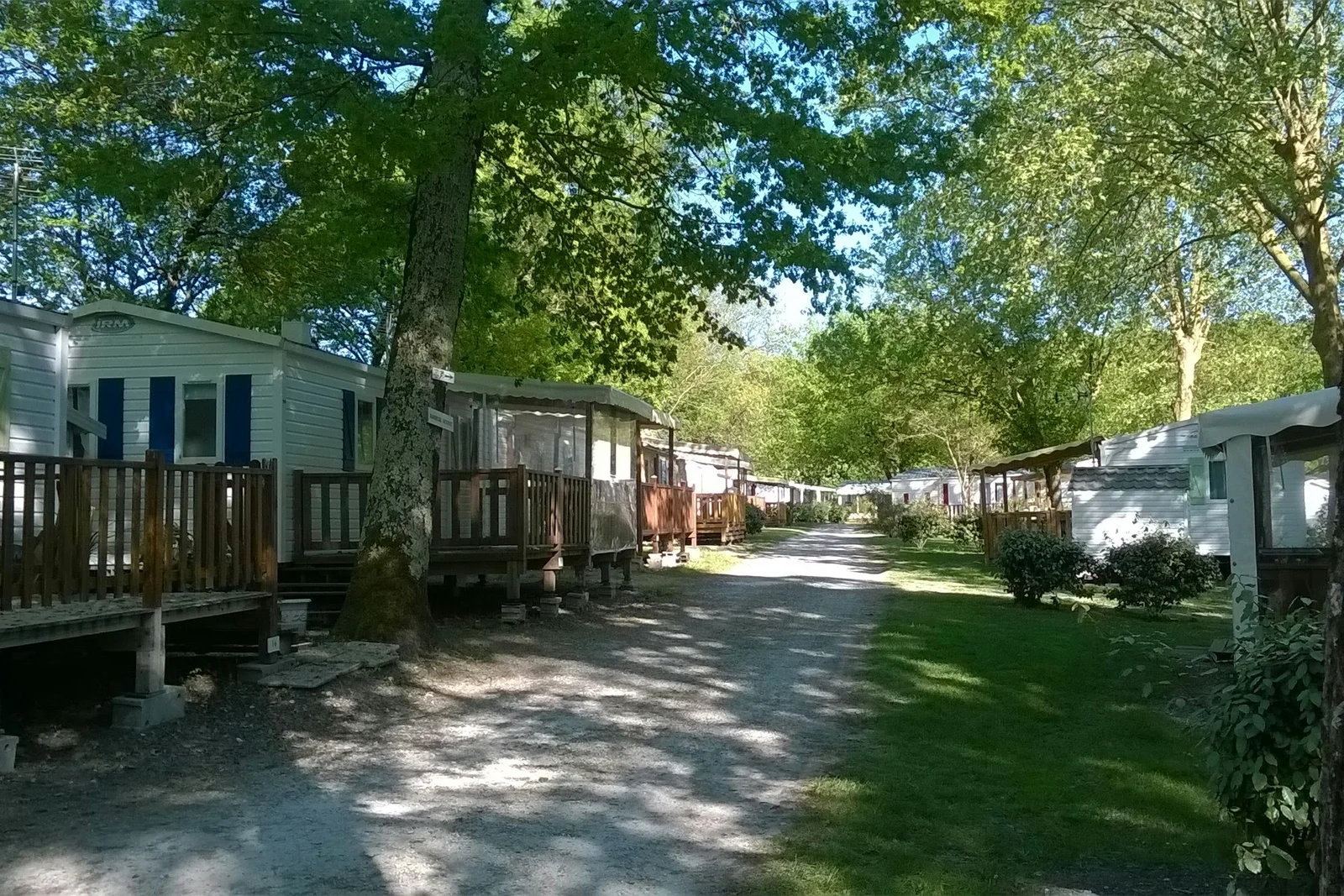 Royal Océan