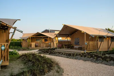 Sahara Stay - Bild 2