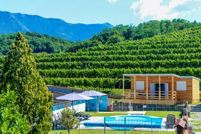 Saxida Wine & Camping Resort - Bild 2