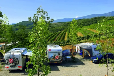 Saxida Wine & Camping Resort - Bild 3