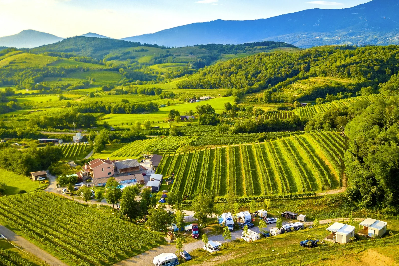 Saxida Wine & Camping Resort