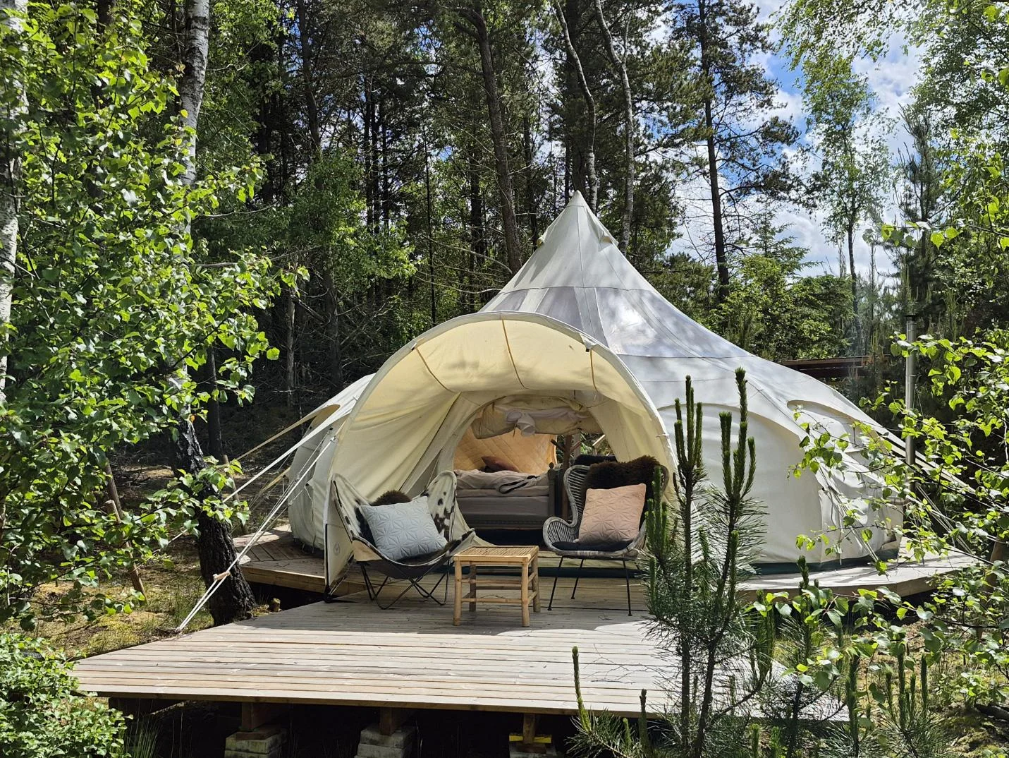 Schellerup Gård - Glampi