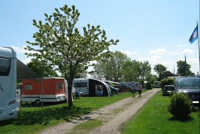 Campingpark Schlei-Karschau - Stellplätze im Schatten unter Bäumen an der Schlei auf dem Campingplatz