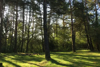 Schlosscamping Kleinziegenfeld - Campingplatz umgeben von Bäumen