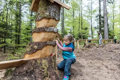 Waldcamping Birkendorf - Bild 3
