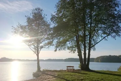 Seecamping Weisser Brunnen  - Bank auf grüner Wiese am See vom Campingplatz