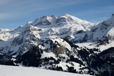 Camping Seegarten  -  Campingplatz mit Blick auf die Alpen