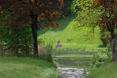 Camping Seegarten  -  Campingplatz im Grünen am See