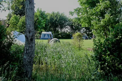 Camping Simmerwille - Standplätze auf der Wiese auf dem Campingplatz