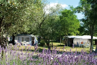 Sites Et Paysages Camping Le Petit Bois - Bild 2