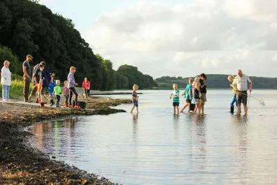 Skive Fjord Camping - Camper am Kiesstrand beim Krabbenfischen
