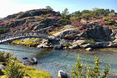 Skottevik Feriesenter  Skottevik FerieSenter - Campen in der Natur