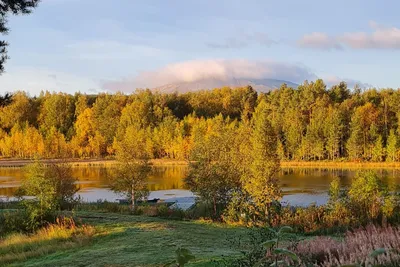 Sonfjällscampen Hedeviken - Stadnplatz auf dem Campingplatz mit Aussicht