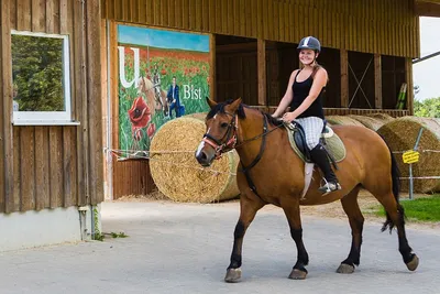 Camping Sonnenhof  Erlebnisbauernhof Der Sonnenhof - Reiten auf dem Campingplatz