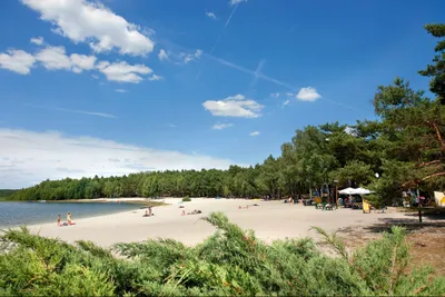 Spreewälder Seecamping Briesensee - Blick auf den Badestrand am See