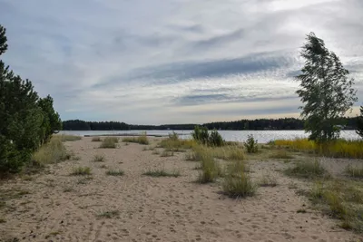Stenö Havsbad & Camping - Bild 4