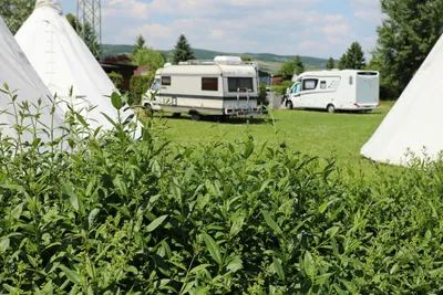Storchencamp Purbach - Stellplätze auf der Wiese