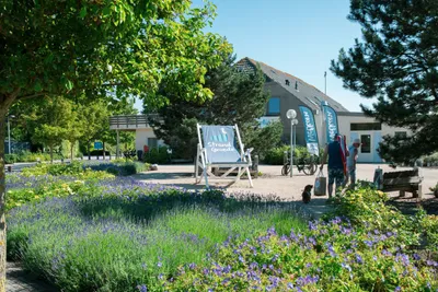Strandcamping Groede  - Eingang des Campingplatzes