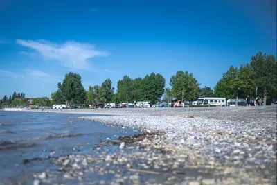 Strandcamping Podersdorf am See - Kiesstrand am Campingplatz