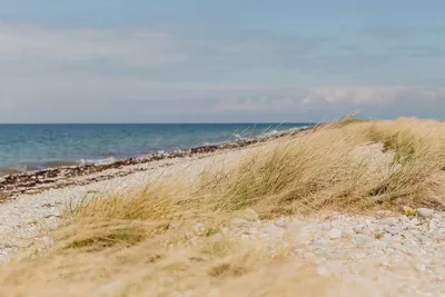 Strandcamping Wallnau Bild 3